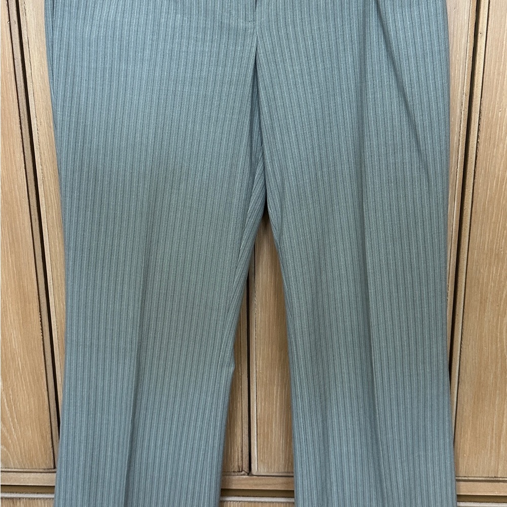 Express dress pants, color light gray with black and white pinstripes